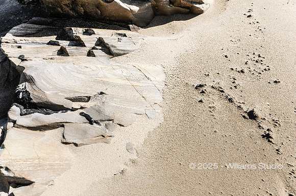 LANDING SITE 9