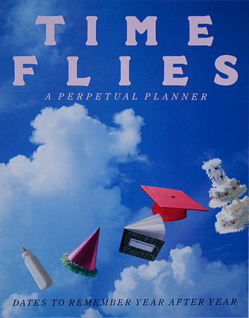 Time Flies Book Cover