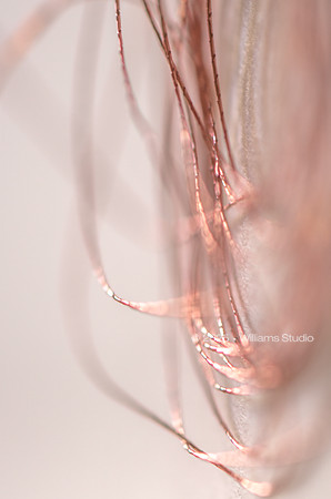 STRING/CABLE 4