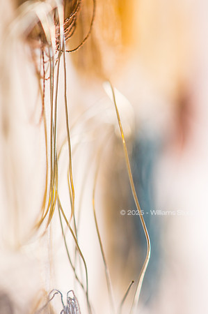 STRING/CABLE 16