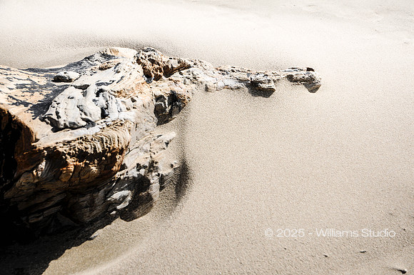 LANDING SITE 2