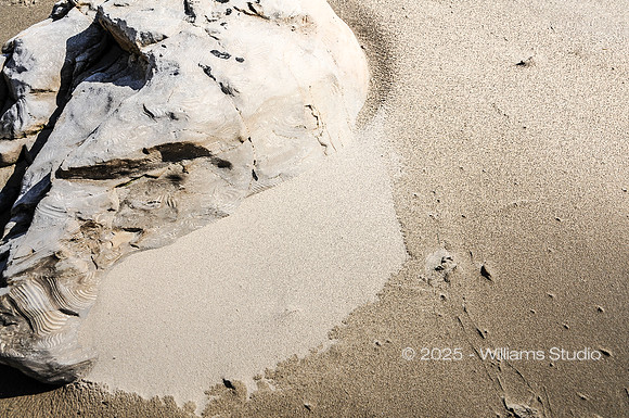 LANDING SITE 5