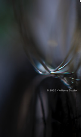STRING/CABLE 5