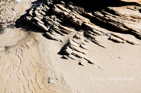 LANDING SITE 3