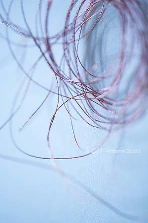 STRING/CABLE 3