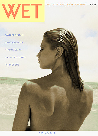 Wet Magazine Cover comp