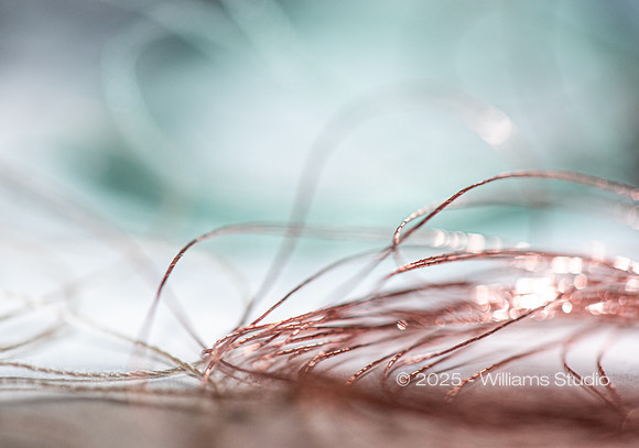 STRING/CABLE 15