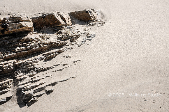 LANDING SITE 8