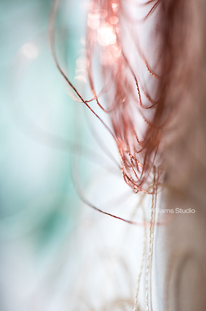 STRING/CABLE 13