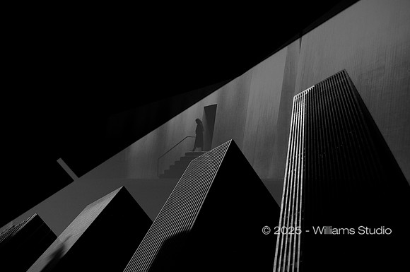 SILHOUETTS 5