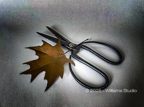 SMALL SUBJECTS 9