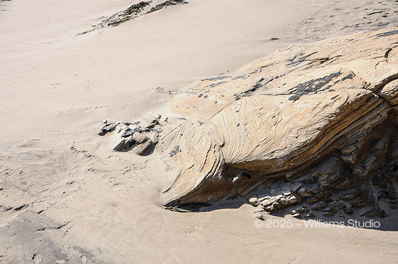 LANDING SITE 1