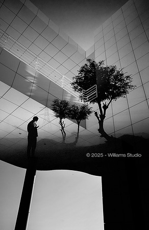 SILHOUETTS 18