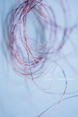 STRING/CABLE 2