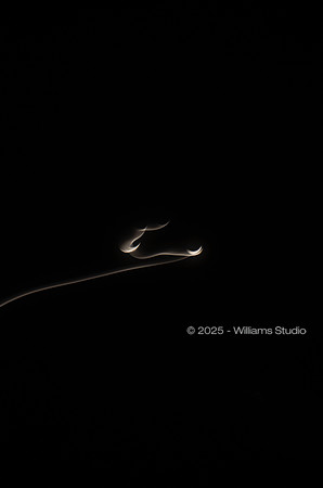 MOTION 9