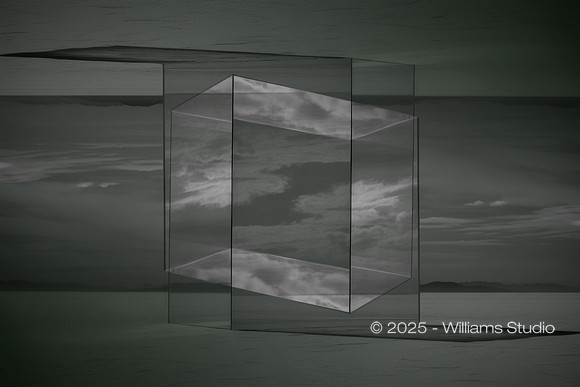 CUBES 14