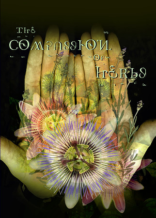 The Compassion of Herbs Book Cover Cover
