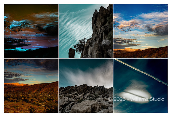 IMAGE GRID 16