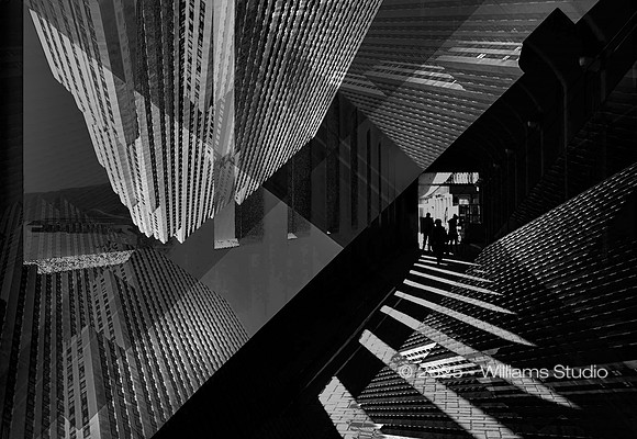 SILHOUETTS 16