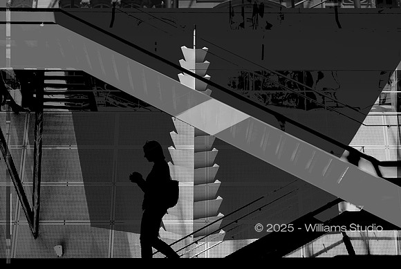 SILHOUETTS 13