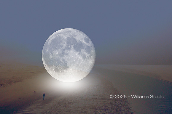 MOON
