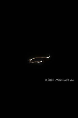 MOTION 7
