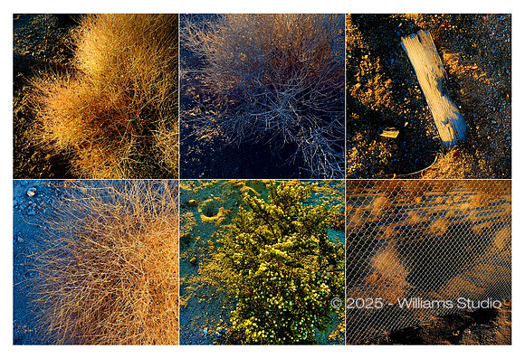 IMAGE GRID 12