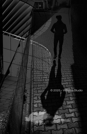 SILHOUETTS 6