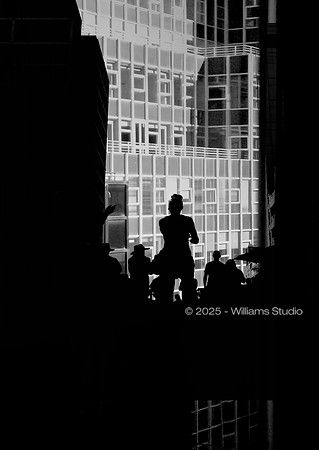 SILHOUETTS 8