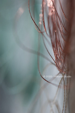 STRING/CABLE 14