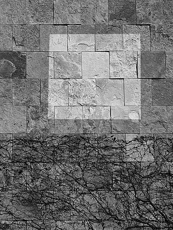 SHAPES 6