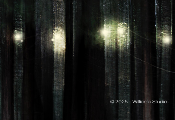 WOOD 1