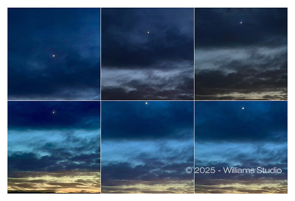 IMAGE GRID 9