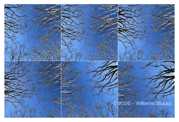 IMAGE GRID 1