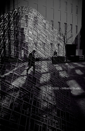 SILHOUETTS 21