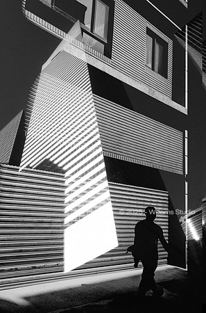 SILHOUETTS 10