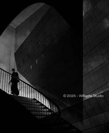 SILHOUETTS 7