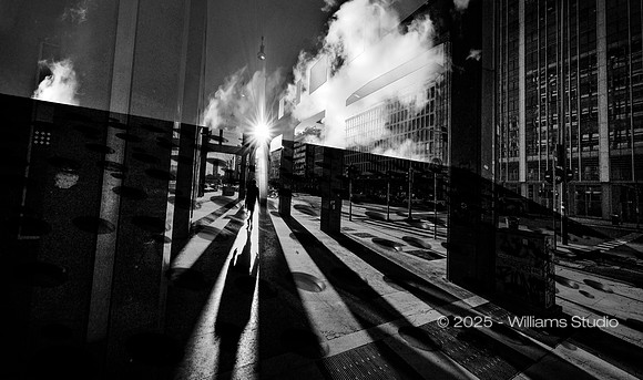 SILHOUETTS 17