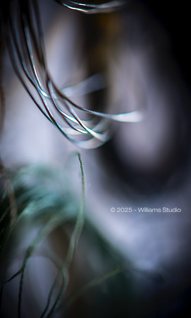 STRING/CABLE 1