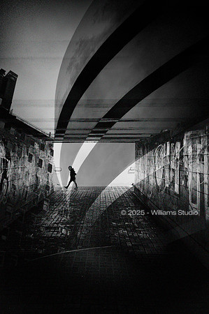 SILHOUETTS 20